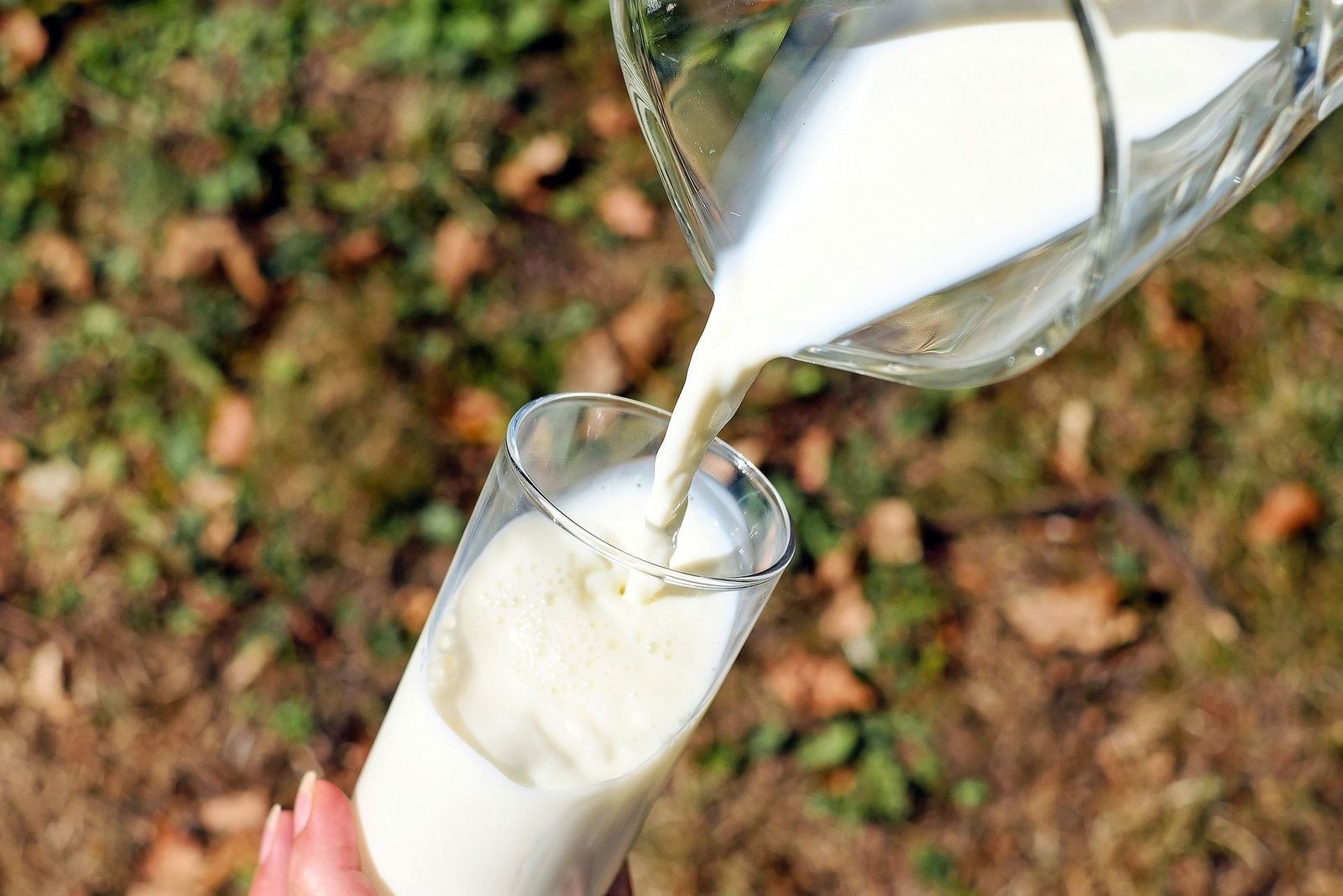 Ganaderos españoles reclaman 375 millones de euros a las empresas del 'cártel de la leche'