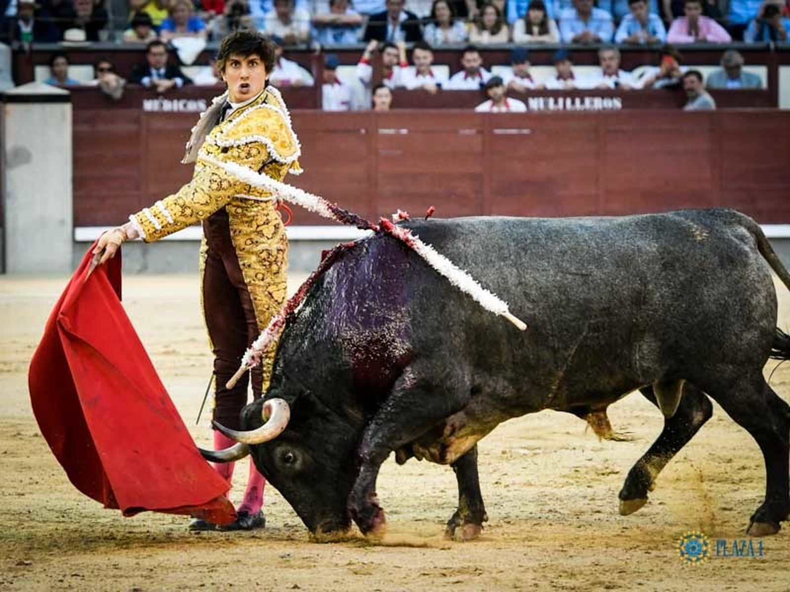 Roca Rey pincha su consagración en Las Ventas