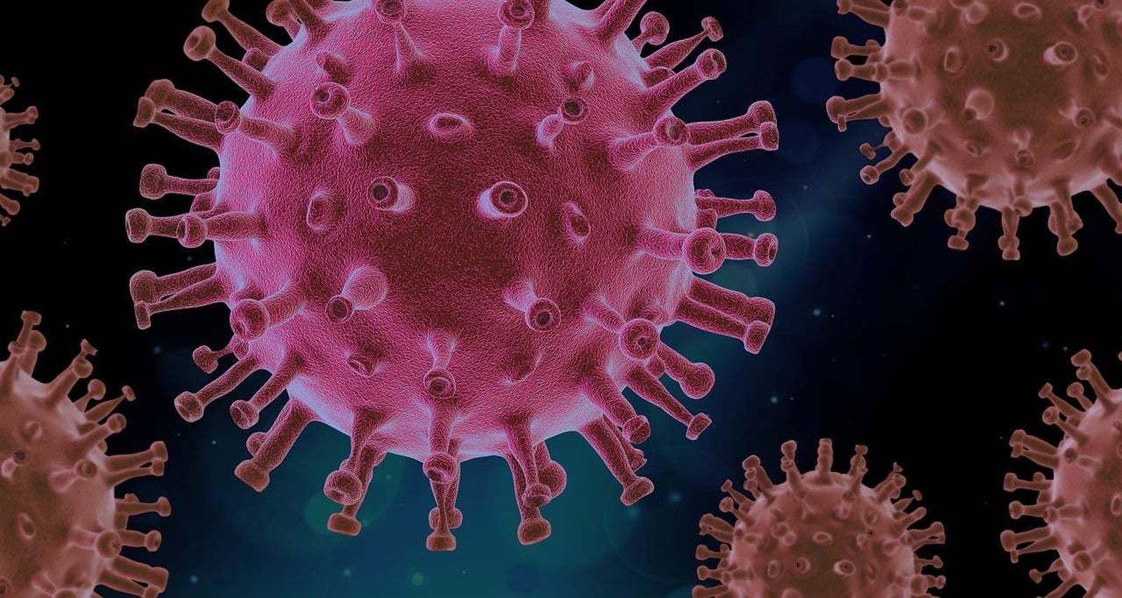 El aumento de casos de Norovirus alerta a las autoridades: las reuniones familiares navideñas propician su contagio