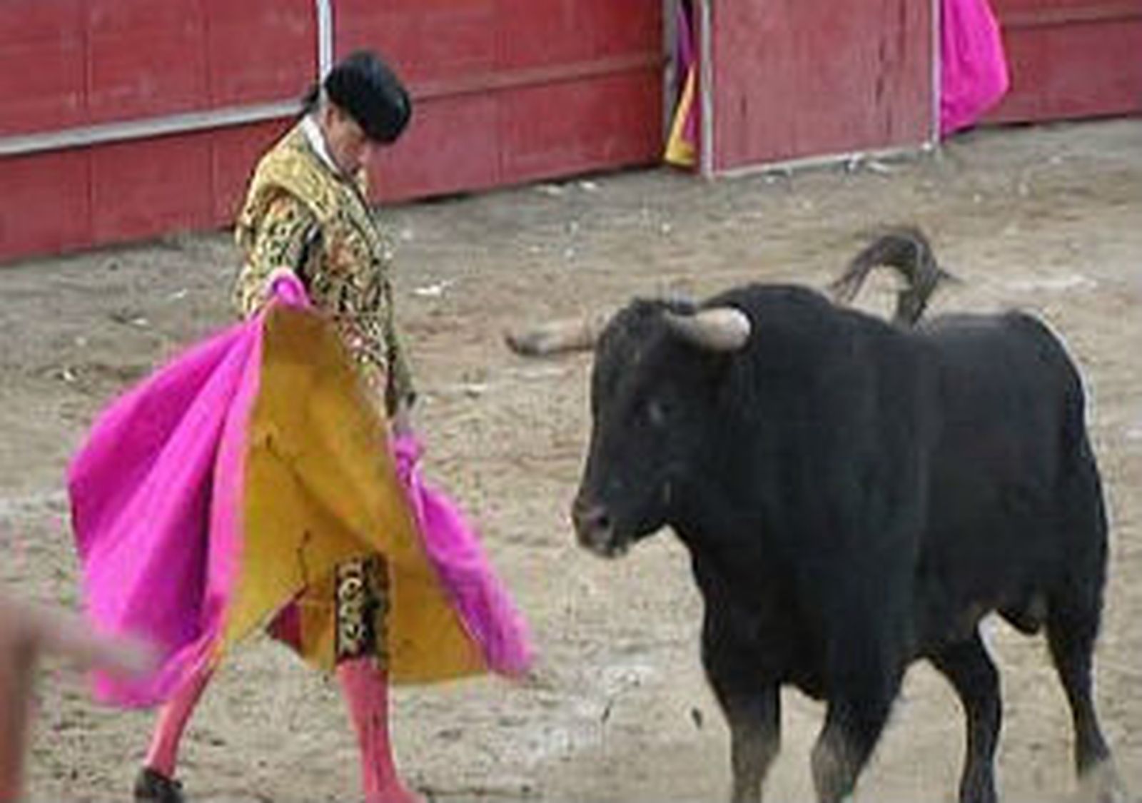 Toros en Ajalvir
