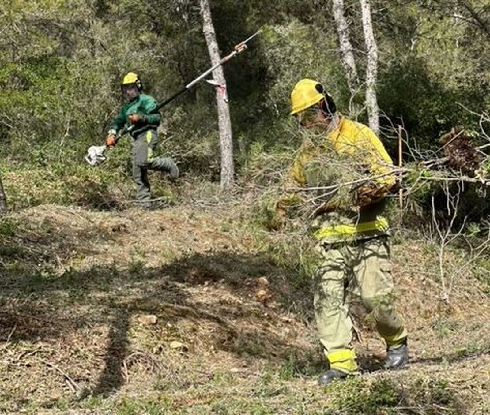 Retenes forestales en la Dehesa de Arganda del Rey