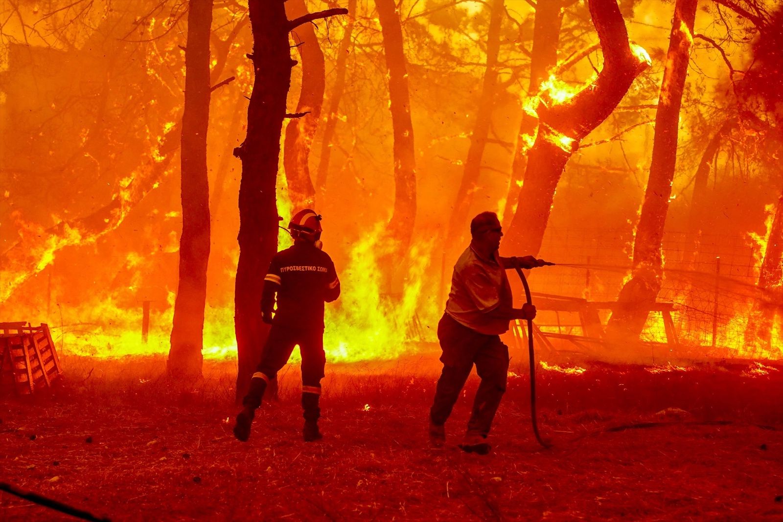 Grecia lucha por controlar decenas de incendios en todo el país
