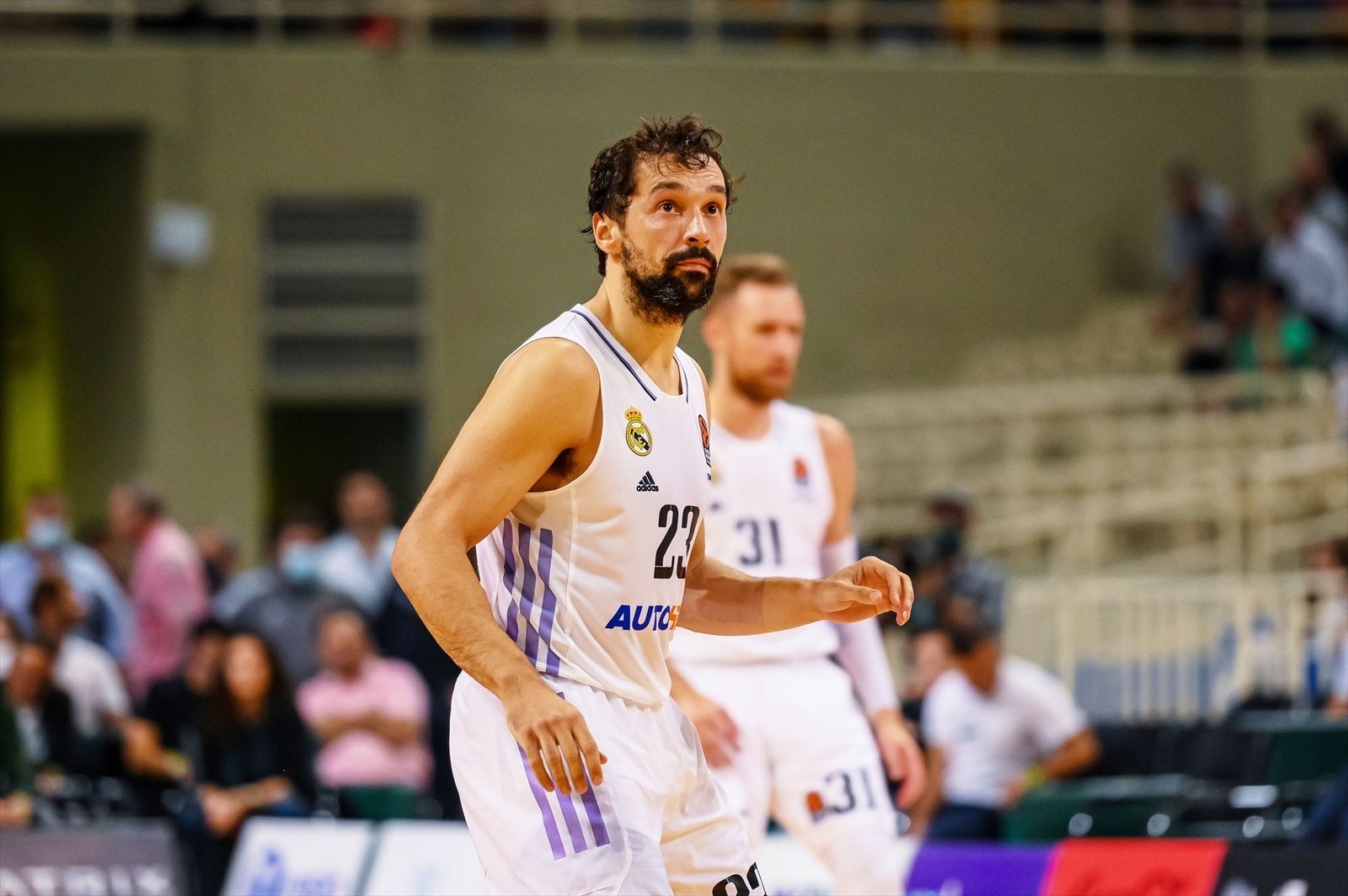 Sergio Llull