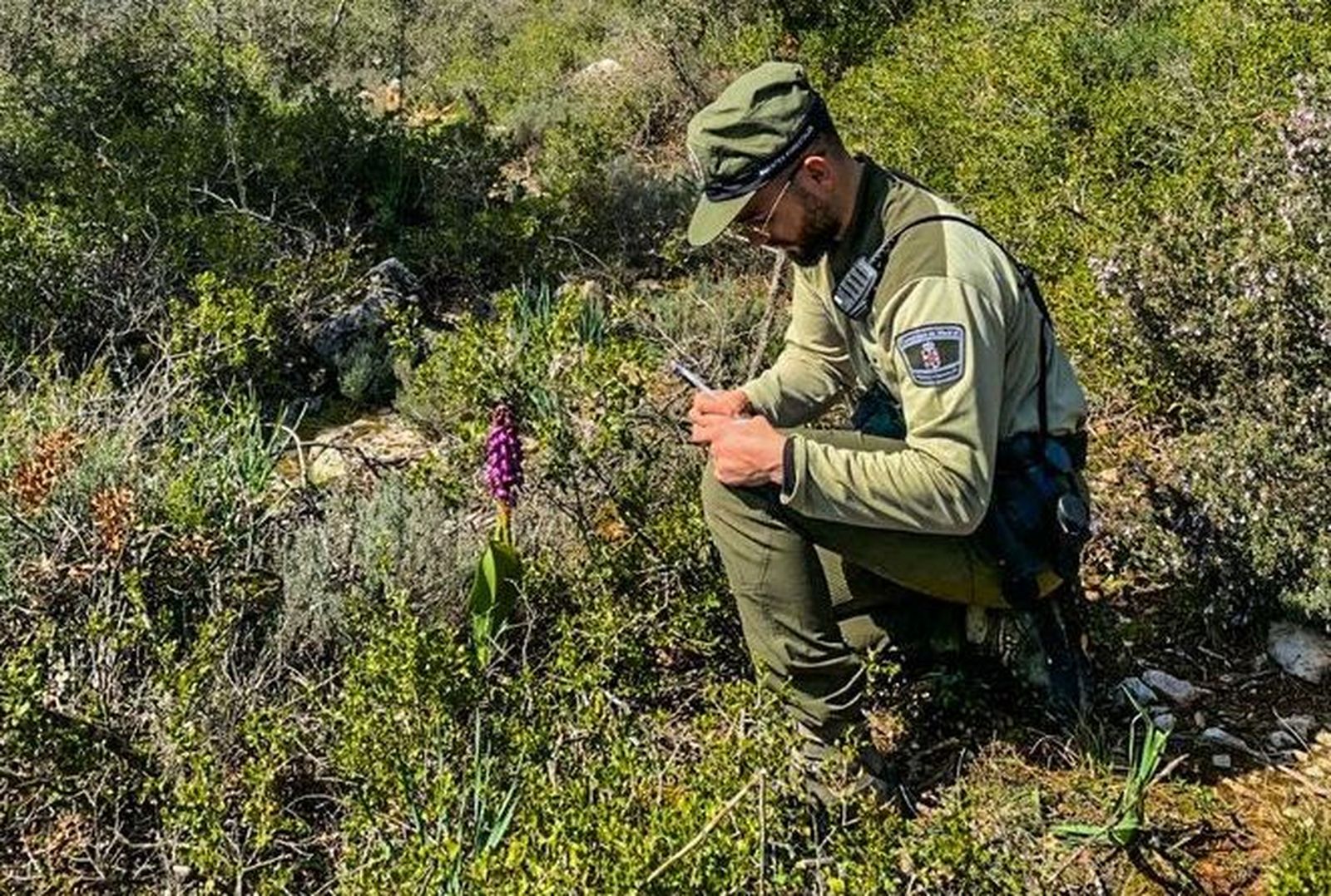 Agente forestal junto a una orquídea gigante