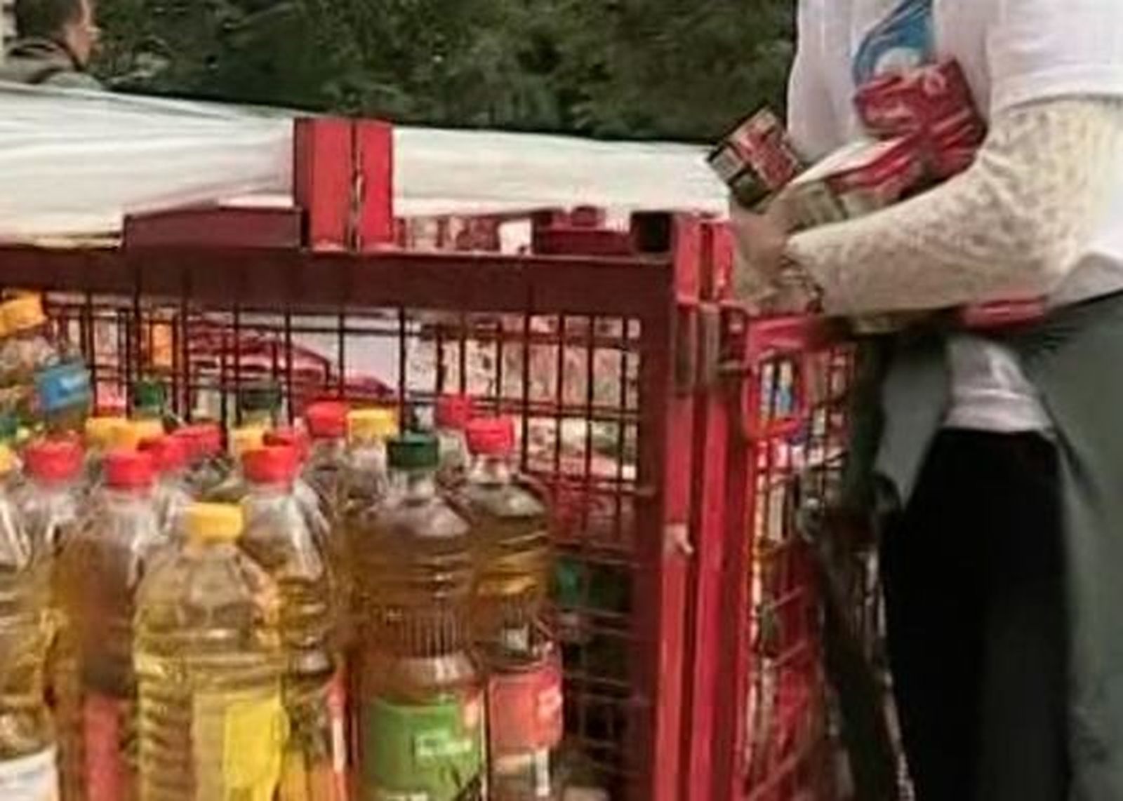 Recogida de alimentos
