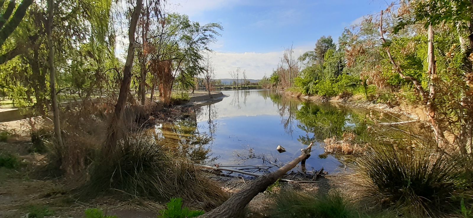 Laguna del parque Tierno Galván, en San Martín de la Vega