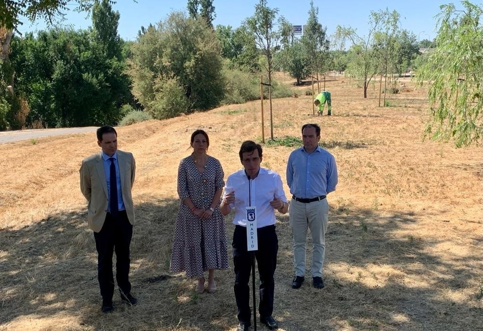 Madrid repondrá los árboles plantados tras Filomena que se secaron por calor