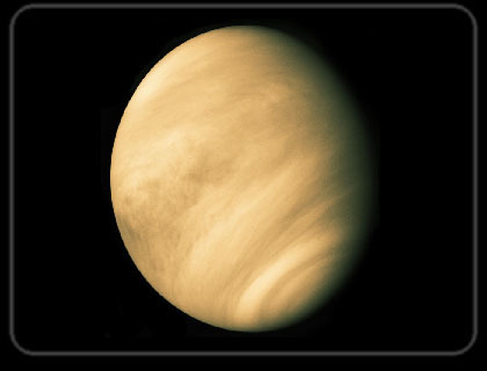 venus300