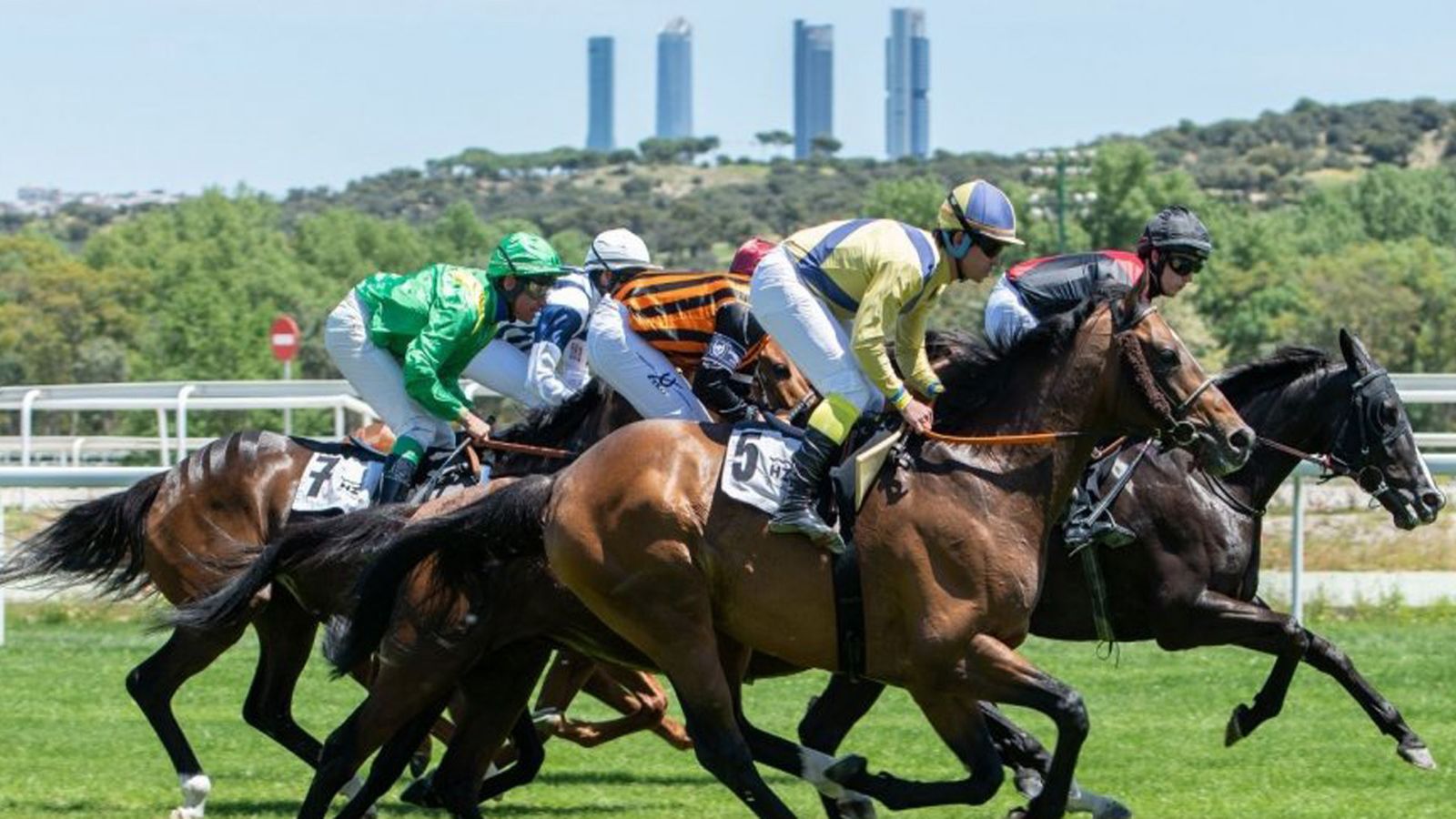 Carrera de caballos