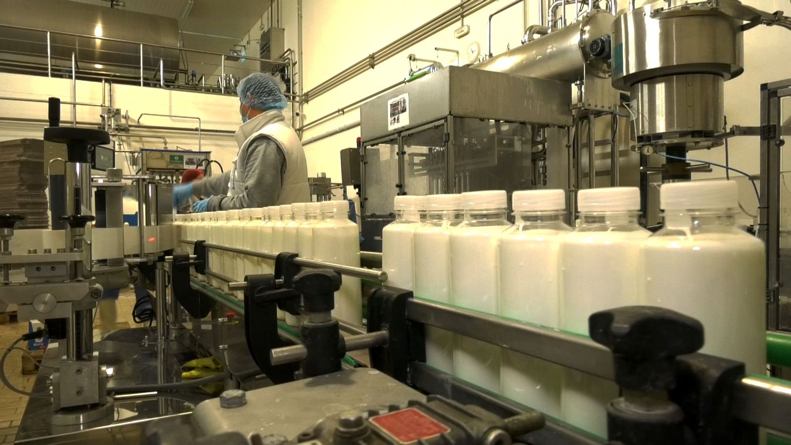 Aumentan las ventas de la leche fresca ante la escasez de la envasada en los supermercados