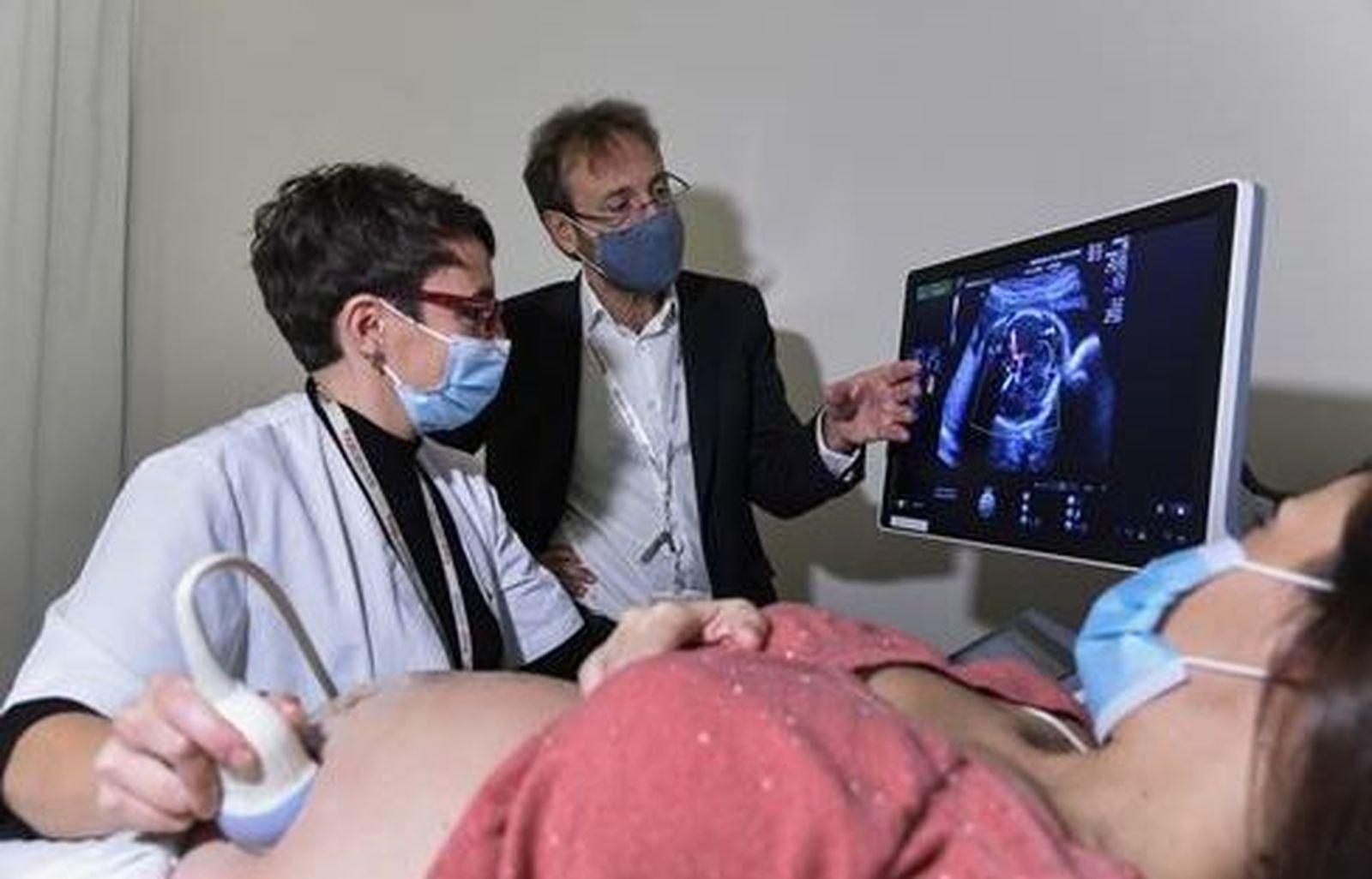 Barcelona lidera el primer proyecto de placenta artificial en Europa