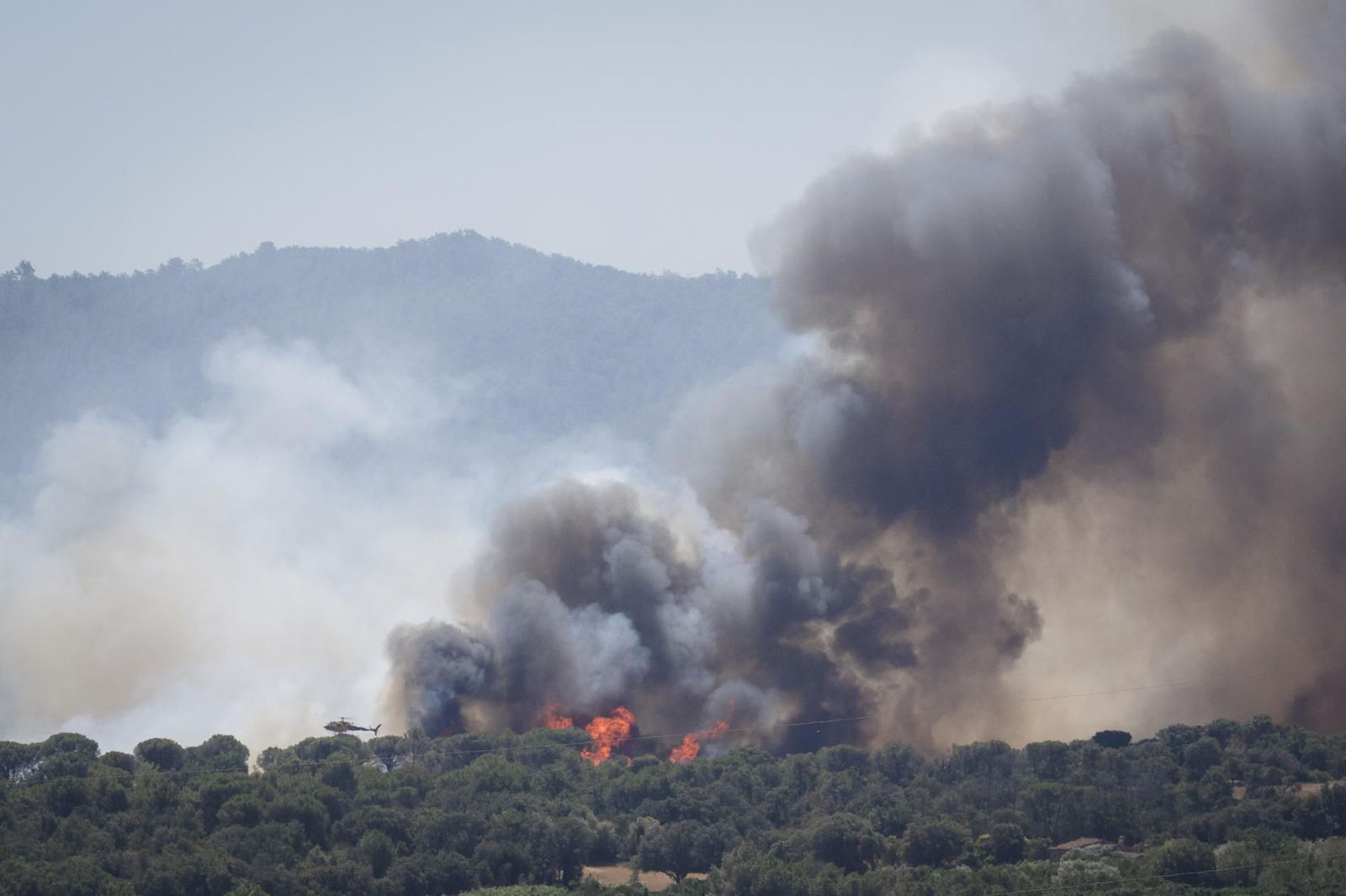 Detenido el presunto autor del incendio forestal de La Bisbal d'Empordà