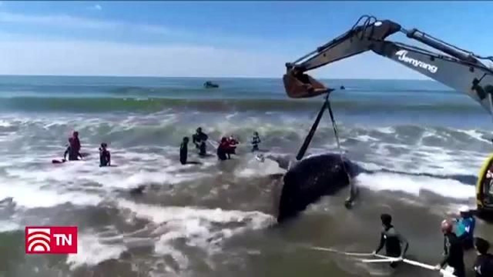 El Tiempo 1 07.10.2018