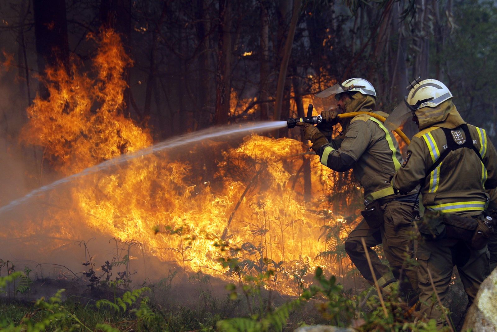 Incendio forestal de Rianxo (A Coruña). EFE/Lavandeira jr
