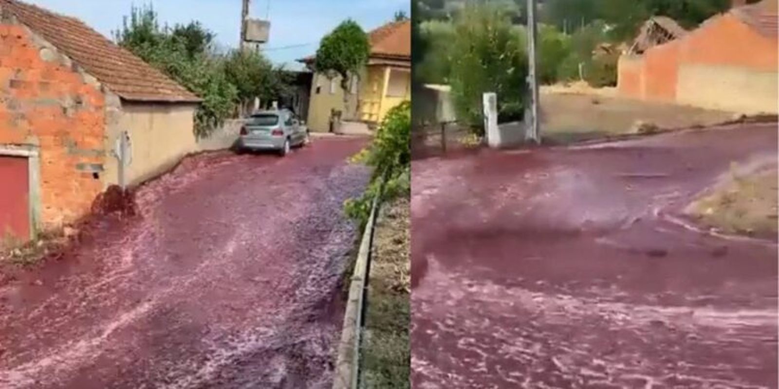 Un río de vino tinto en Portugal
