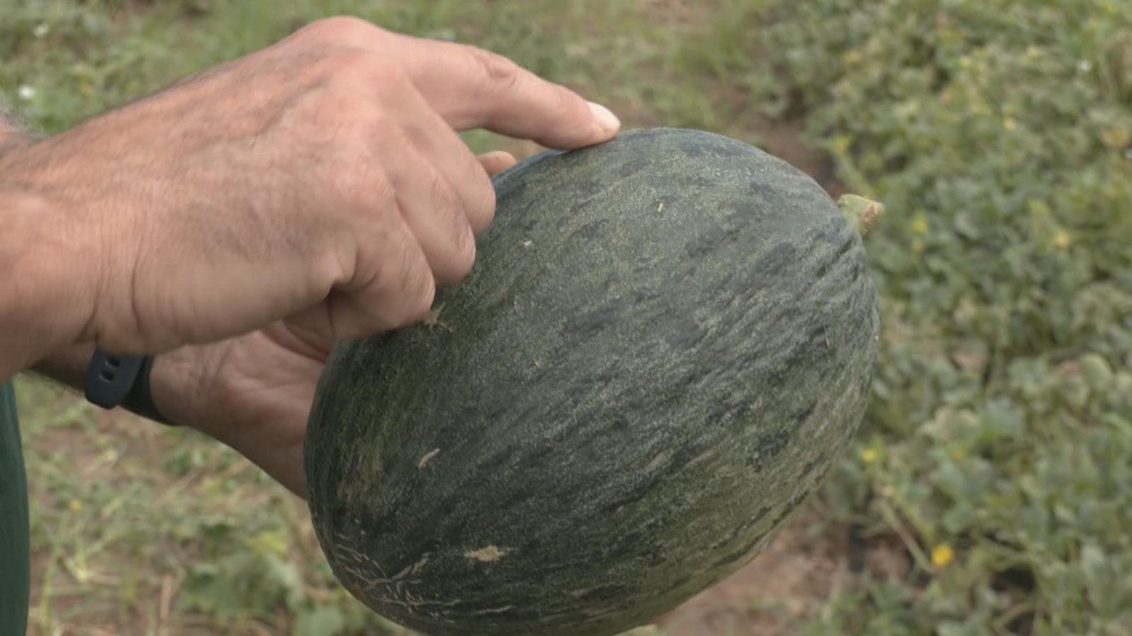 Melón azul: una joya culinaria madrileña que estuvo a punto de desaparecer