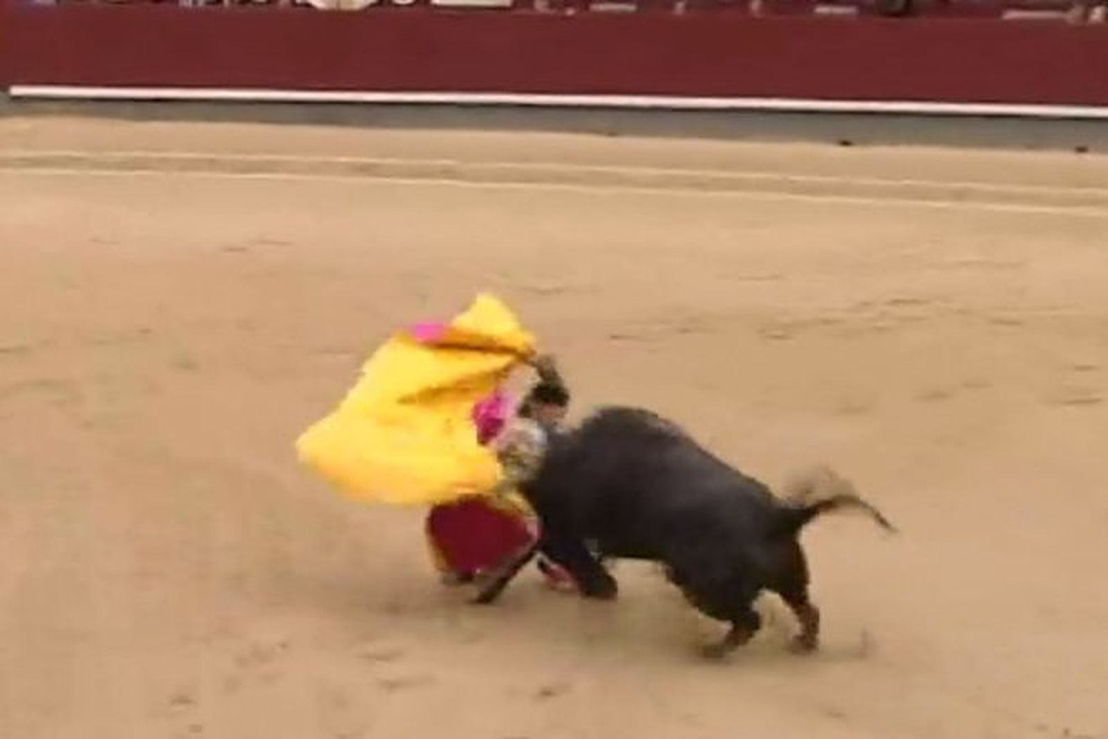 Suspendida la corrida de San Isidro tras la cogida de los tres toreros