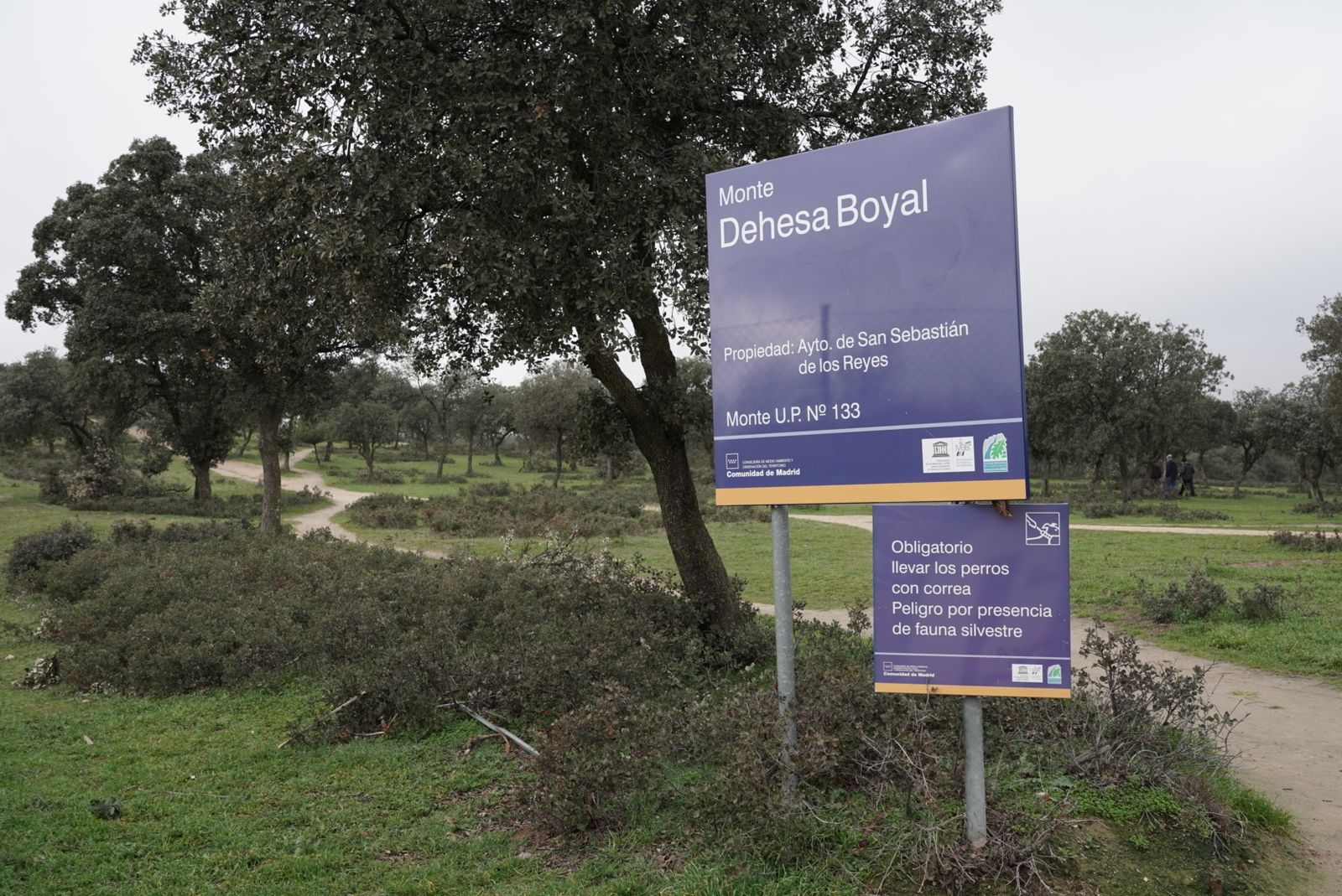 Dehesa Boyal de San Sebastián de los Reyes