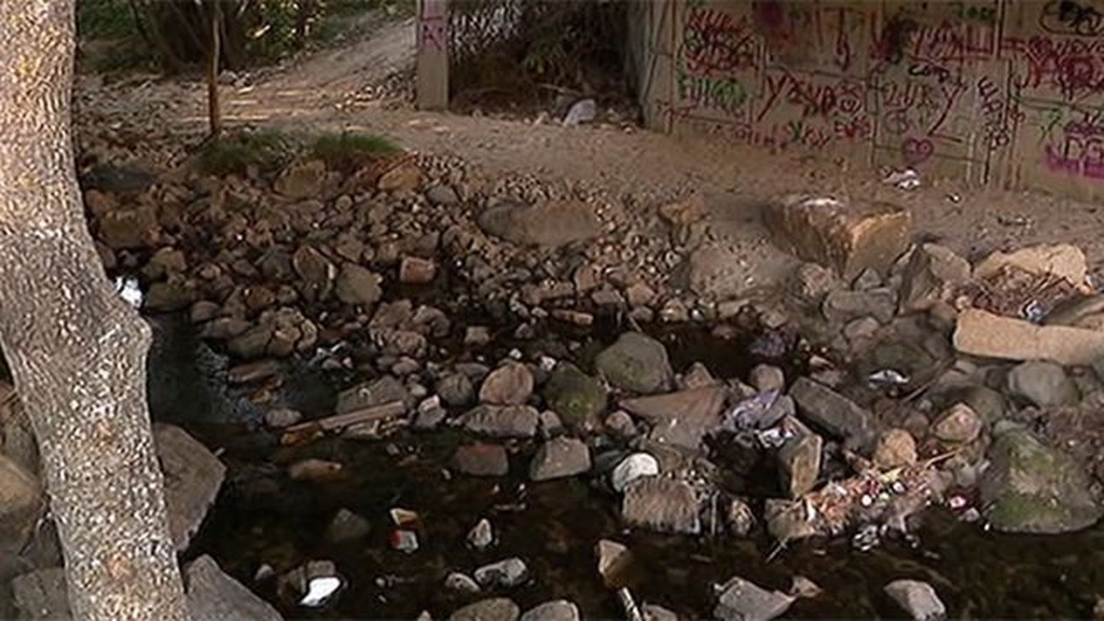 La Comunidad promete un plan integral de limpieza y saneamiento en la Pedriza