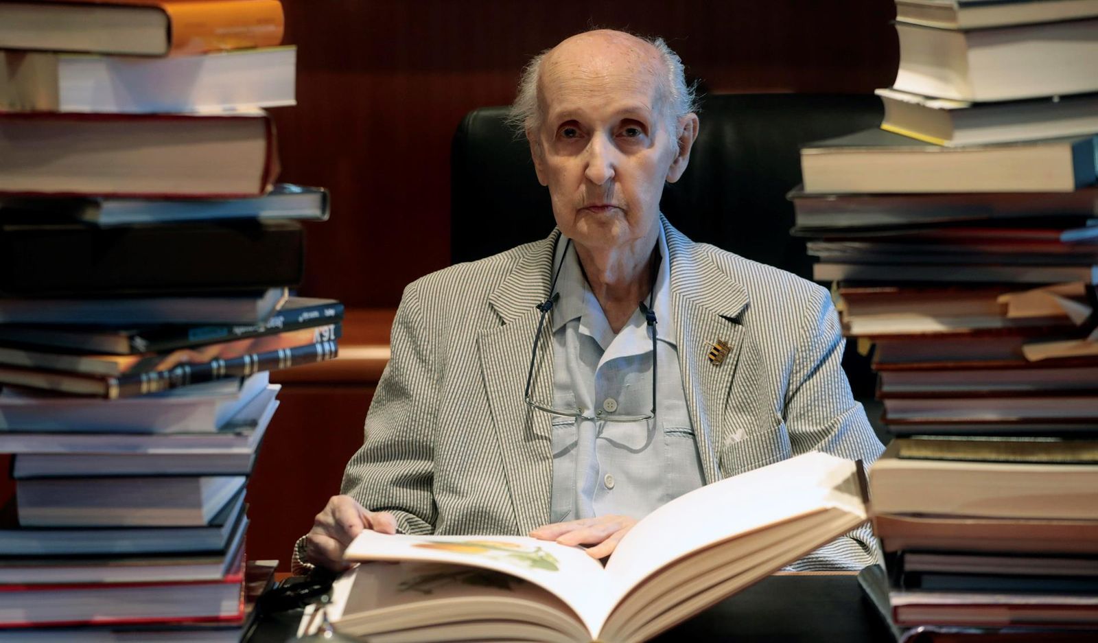 Santiago Grisolía