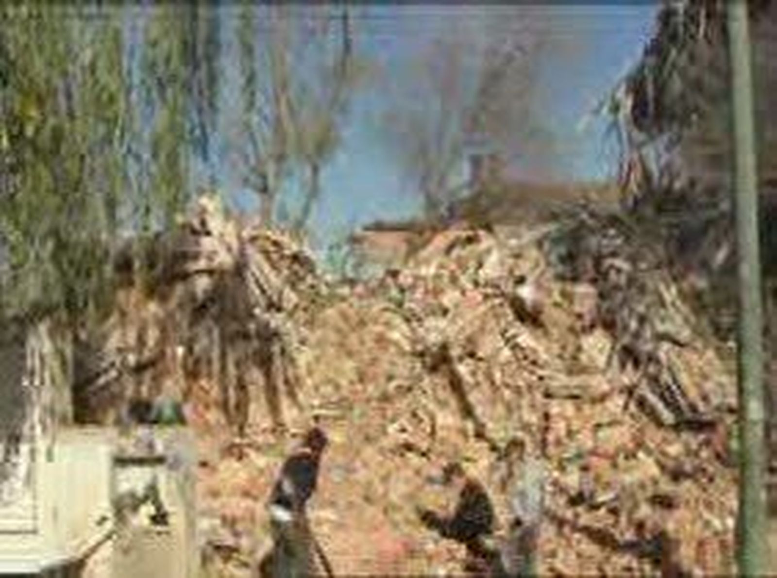 unicef_infancia_20101116V0.wmv