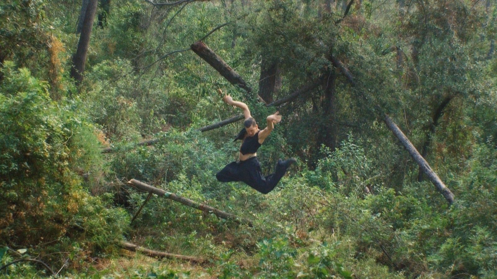 Teatros del Canal estrena 'Guacamayo', un tablao flamenco dentro de un bosque amazónico