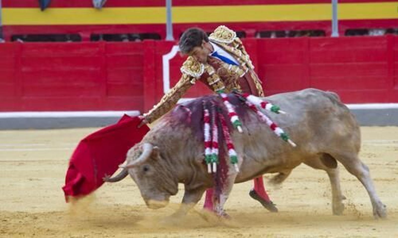 Cogida y triunfo