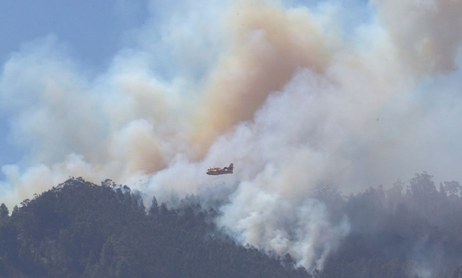 El incendio de Gran Canaria se estabilizará en las próximas horas