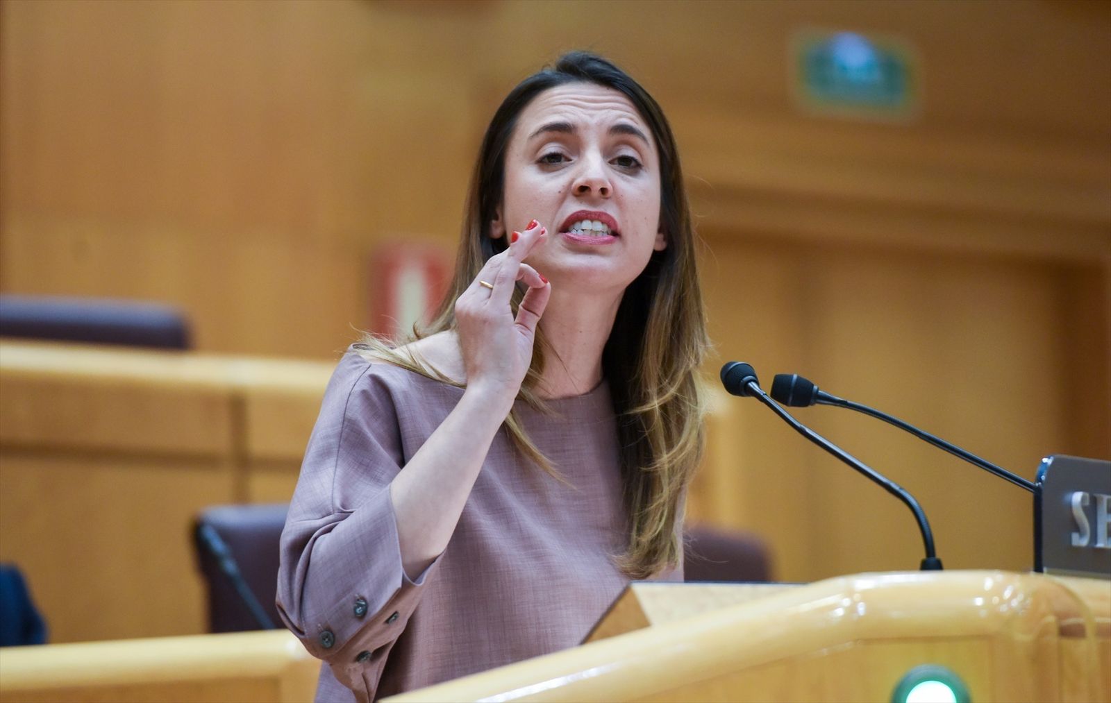 Irene Montero, Ministra de Igualdad