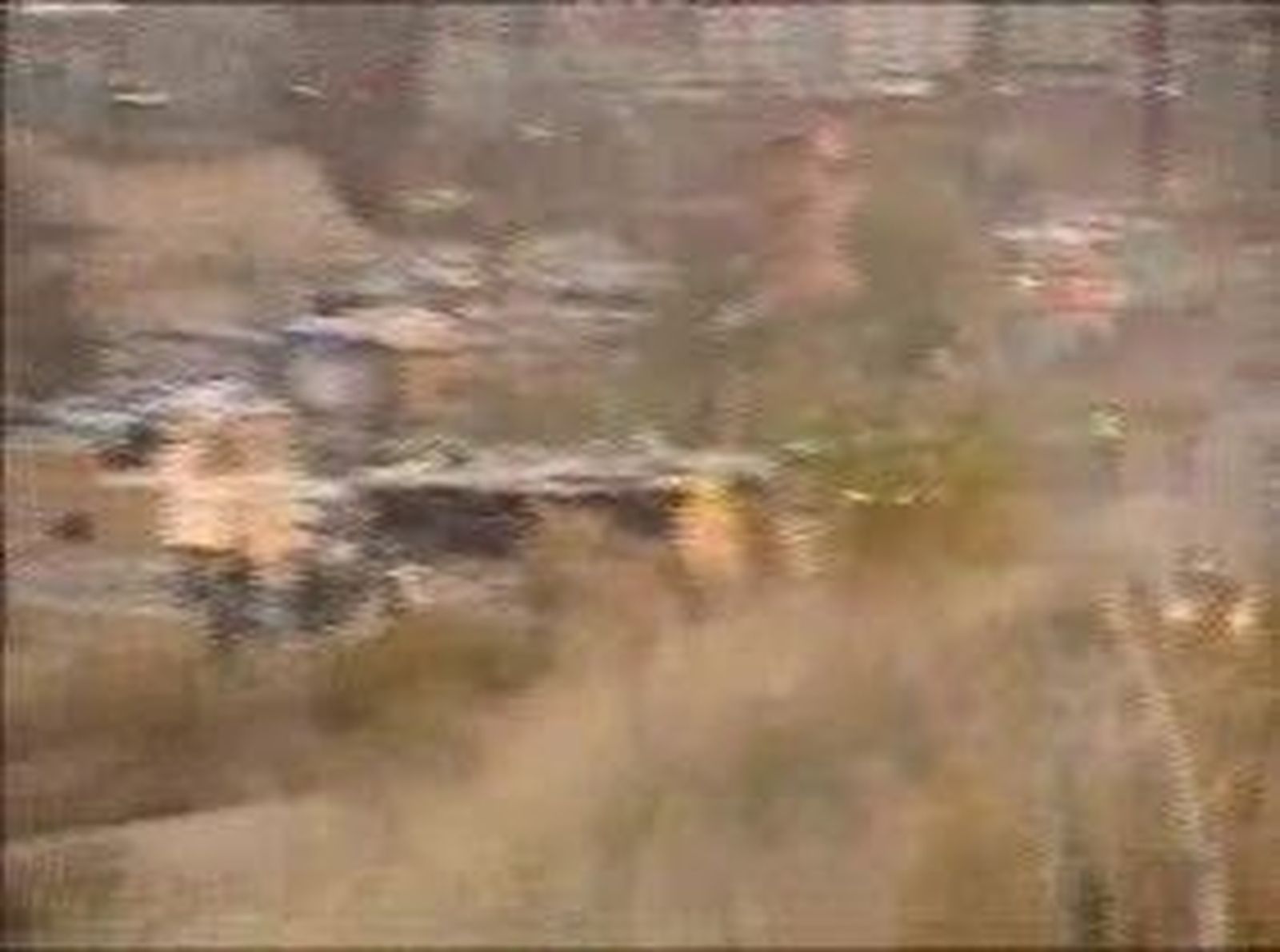 96cobre_20101124V0.wmv