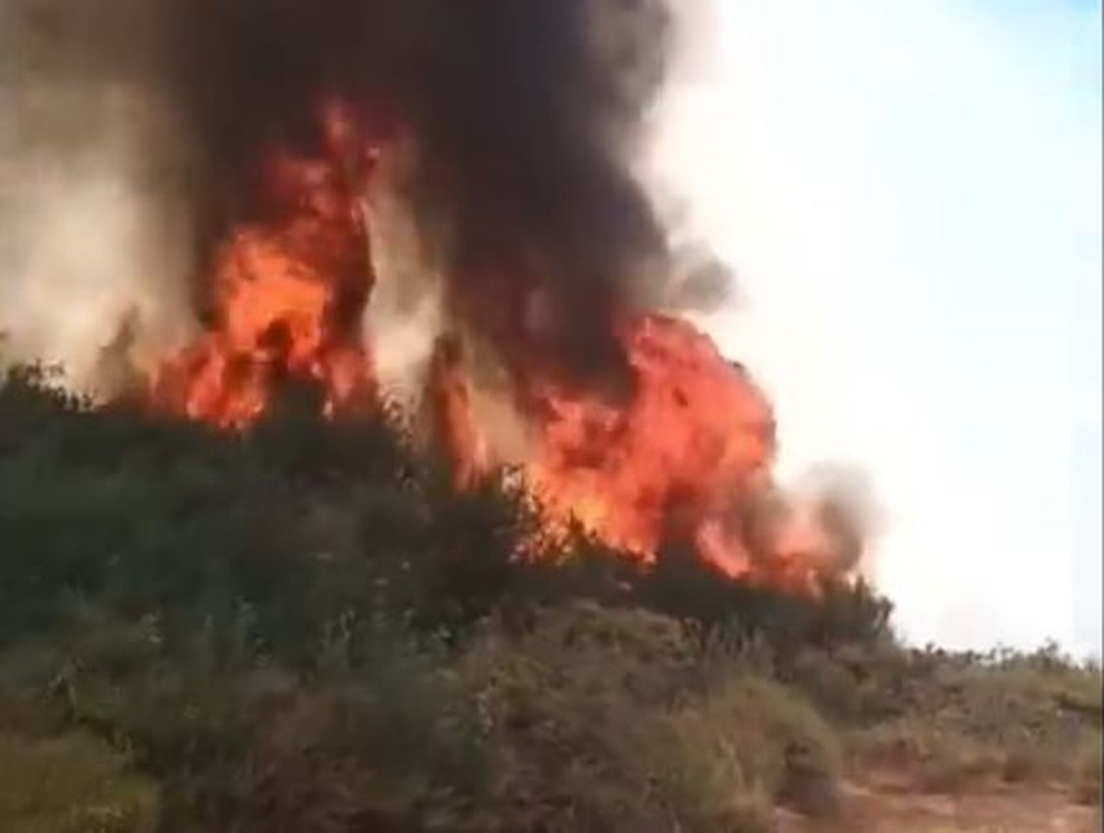 Incendio enTenerife