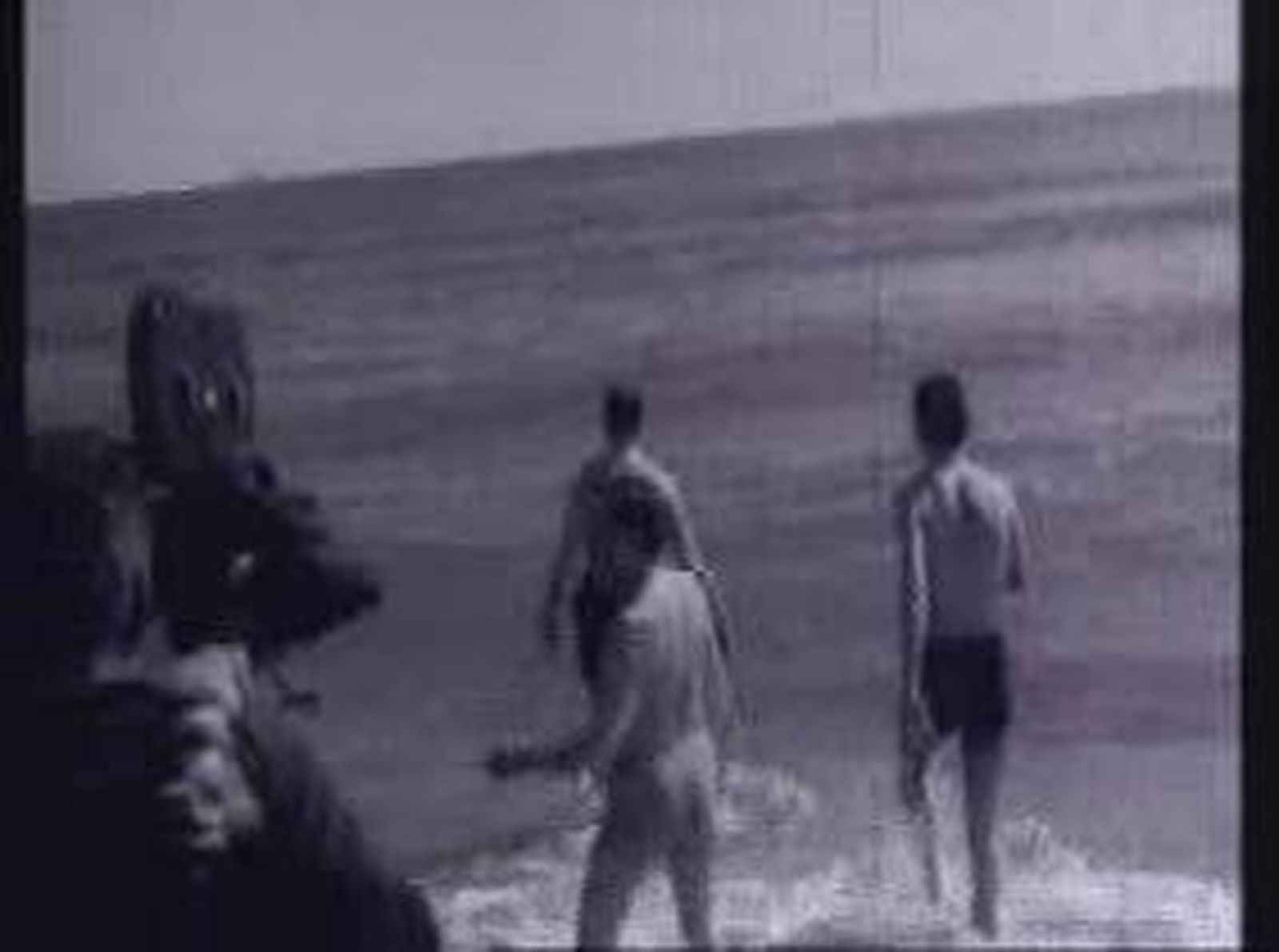 palomares_rocio_2011222V0.wmv