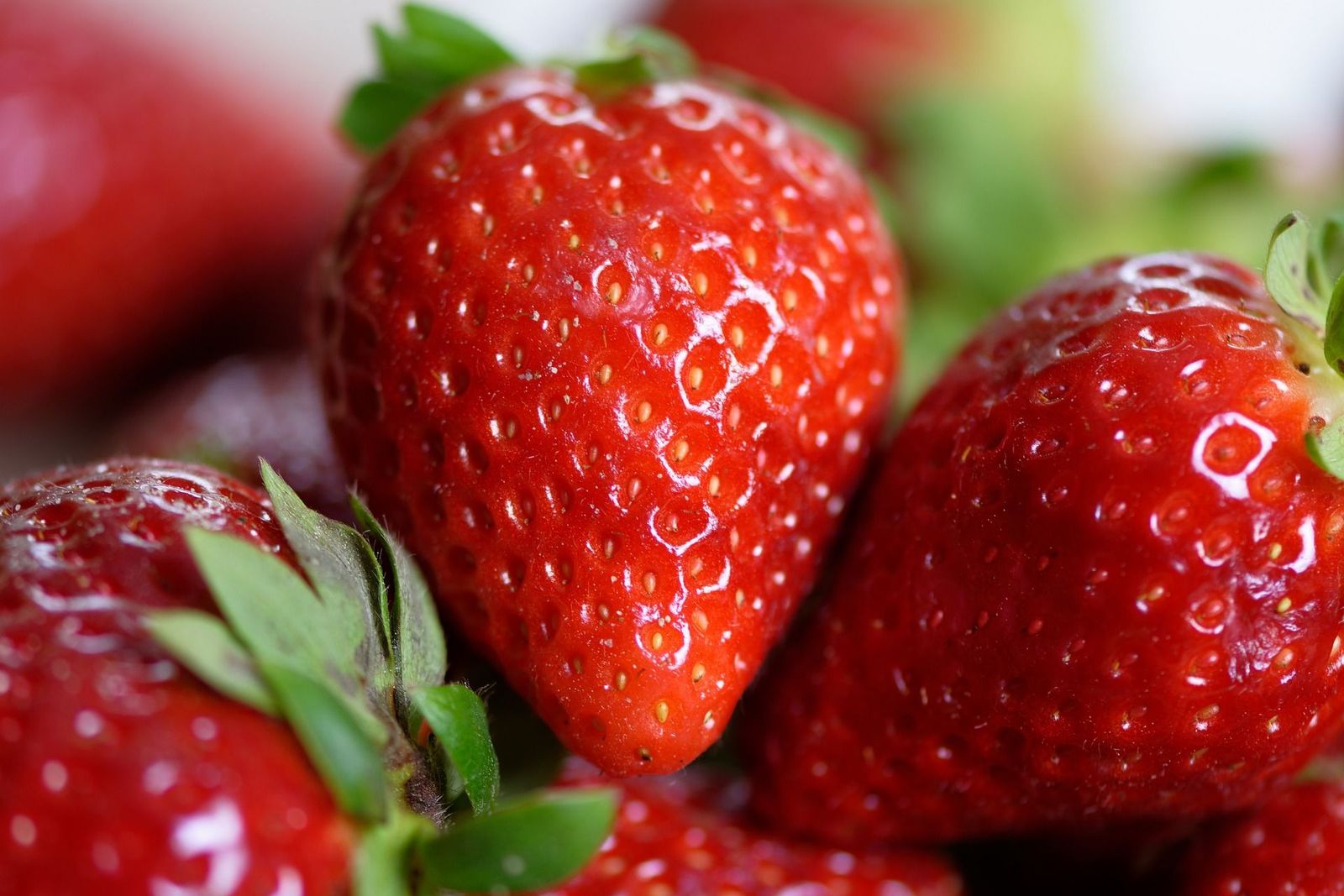 Todo lo que debes saber de las fresas: Beneficios, conservación y recetas