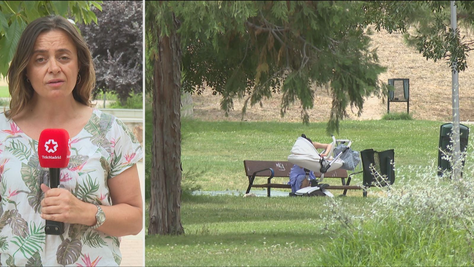 Prisión para el detenido por intentar matar a su pareja en un parque de Carabanchel