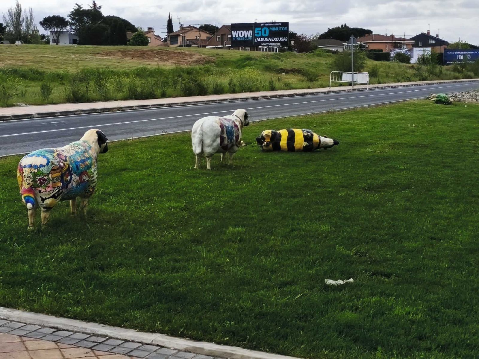 Algunas de las ovejas churras vandalizadas en Colmenar Viejo