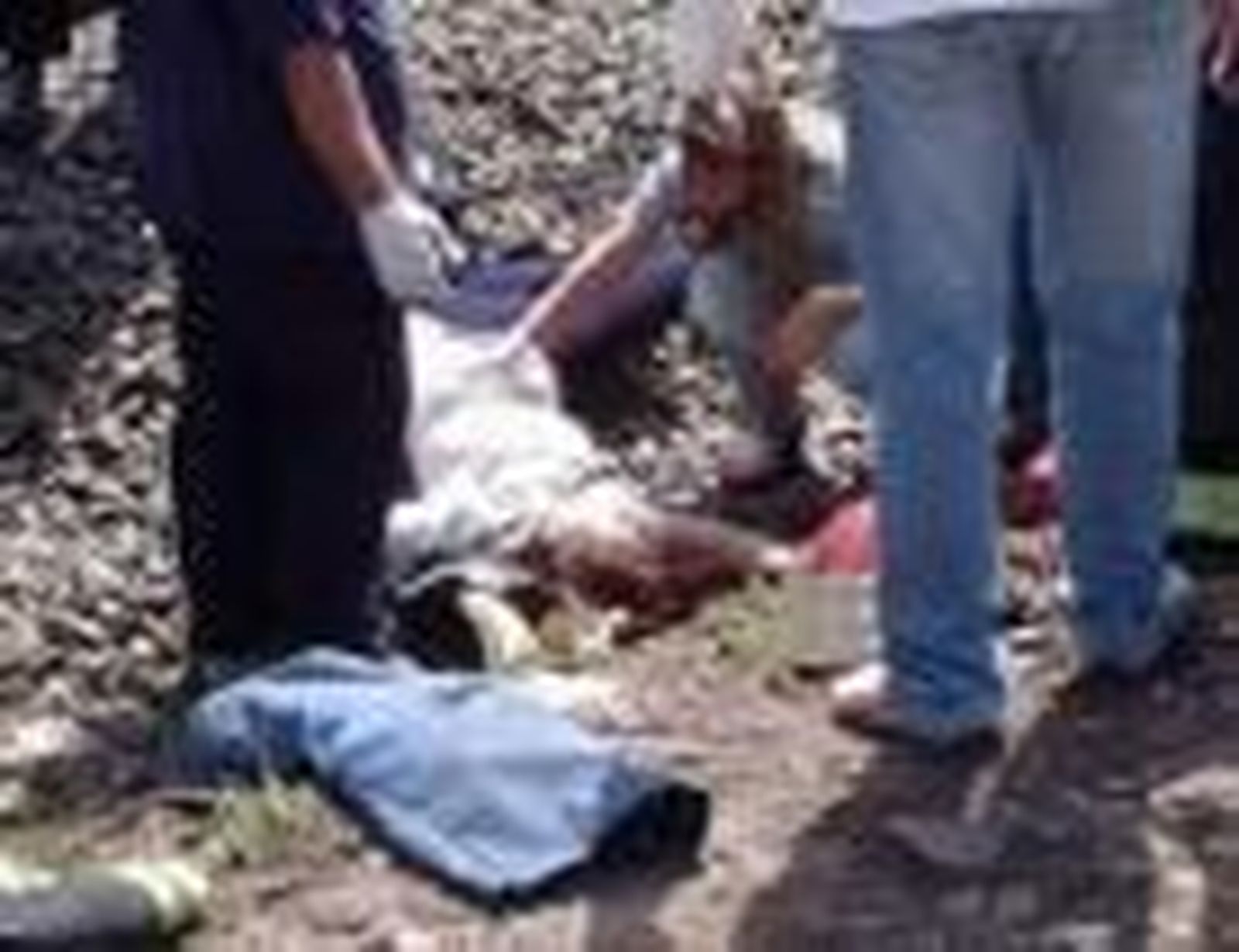 Mueren dos chicas arrolladas por un tren  y un joven  en una zona  de marcha