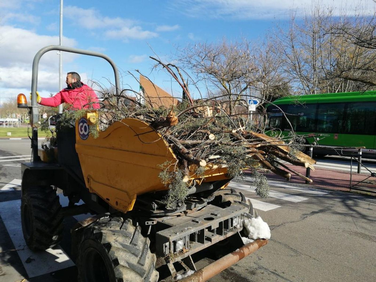 Retirada de ramas caídas en las calles de Majadahonda