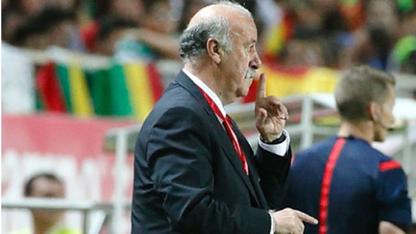 Vicente del Bosque, Selección Española