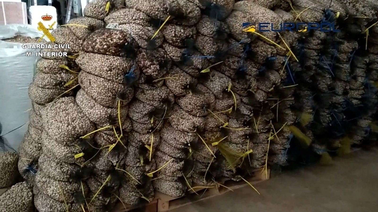 Pistachos ecológicos fraudulentos