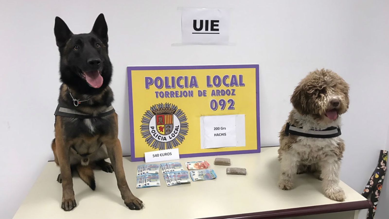 Unidad Canina de Torrejón