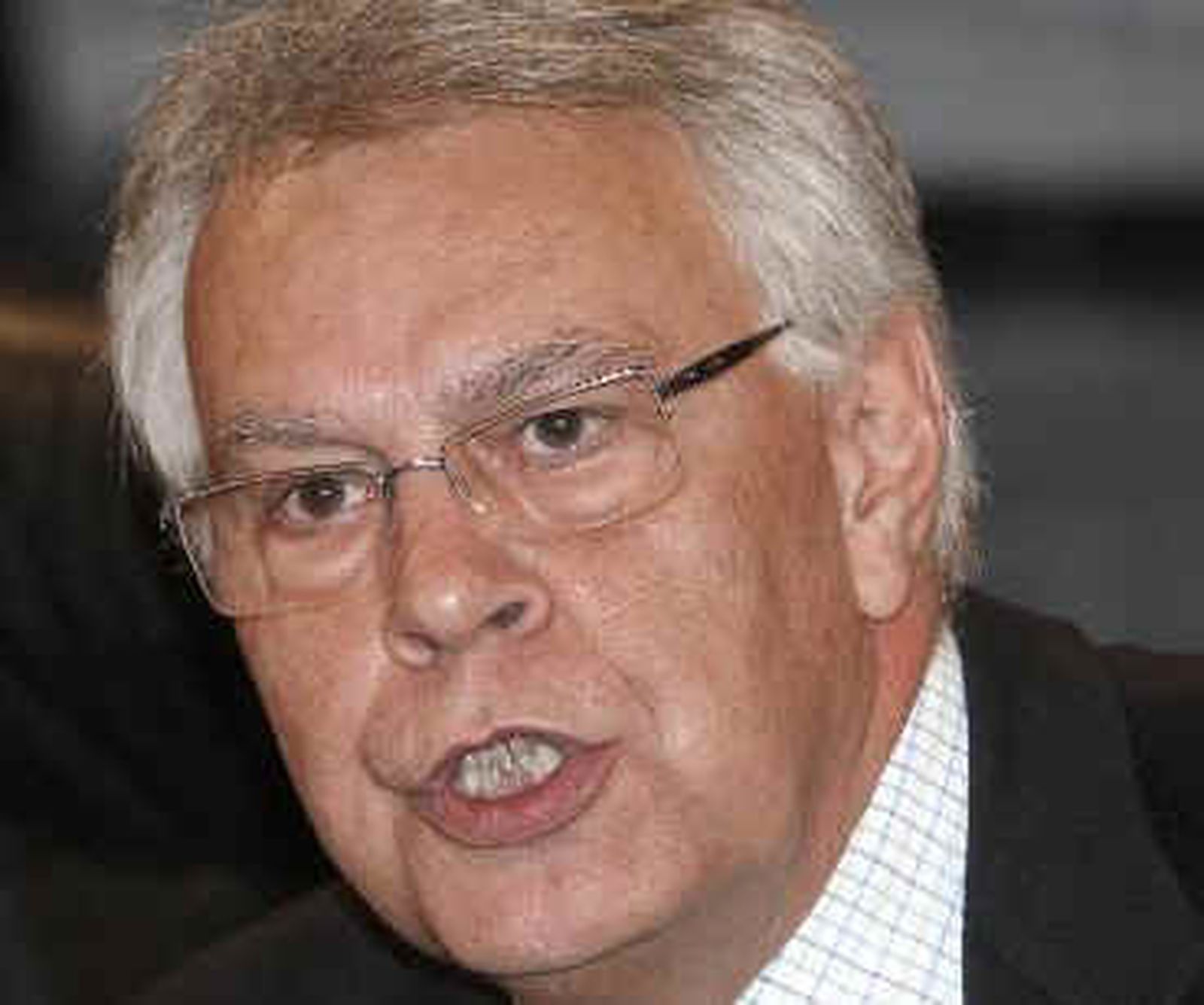 González defiende el "procedimiento" de reforma constitucional en un momento de "emergencia nacional"