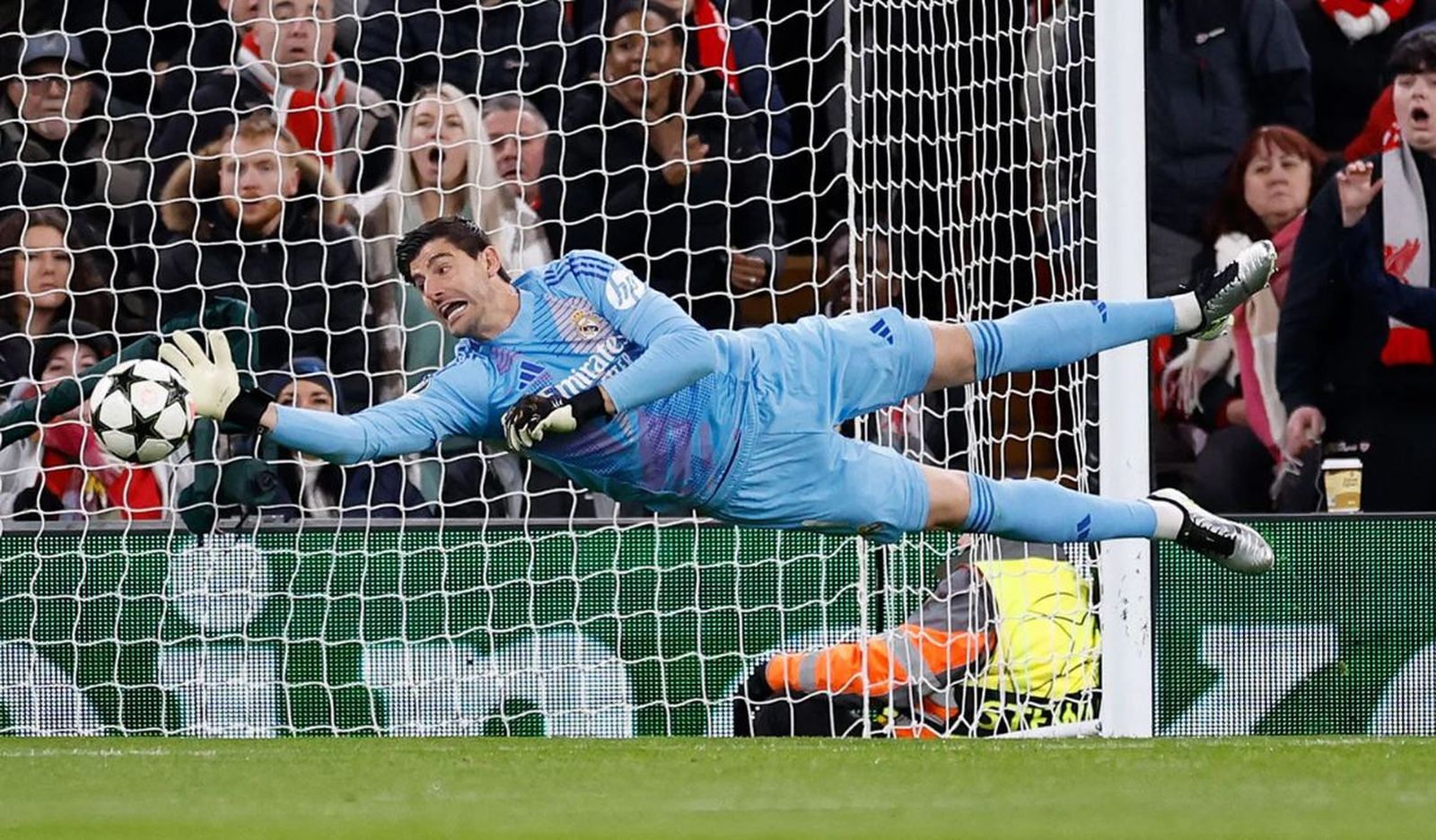 Courtois