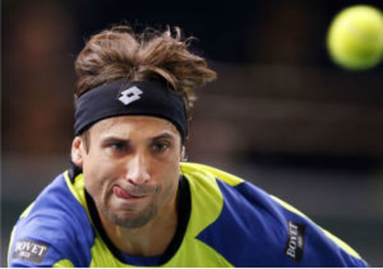 David Ferrer