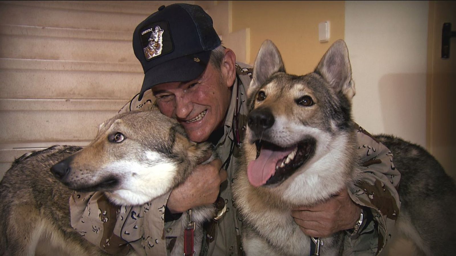 El niño lobo de Navalagamella