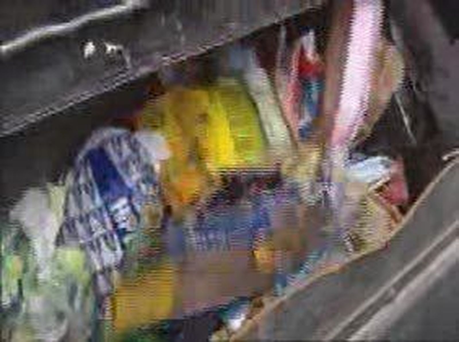 basura_20101224V0.wmv