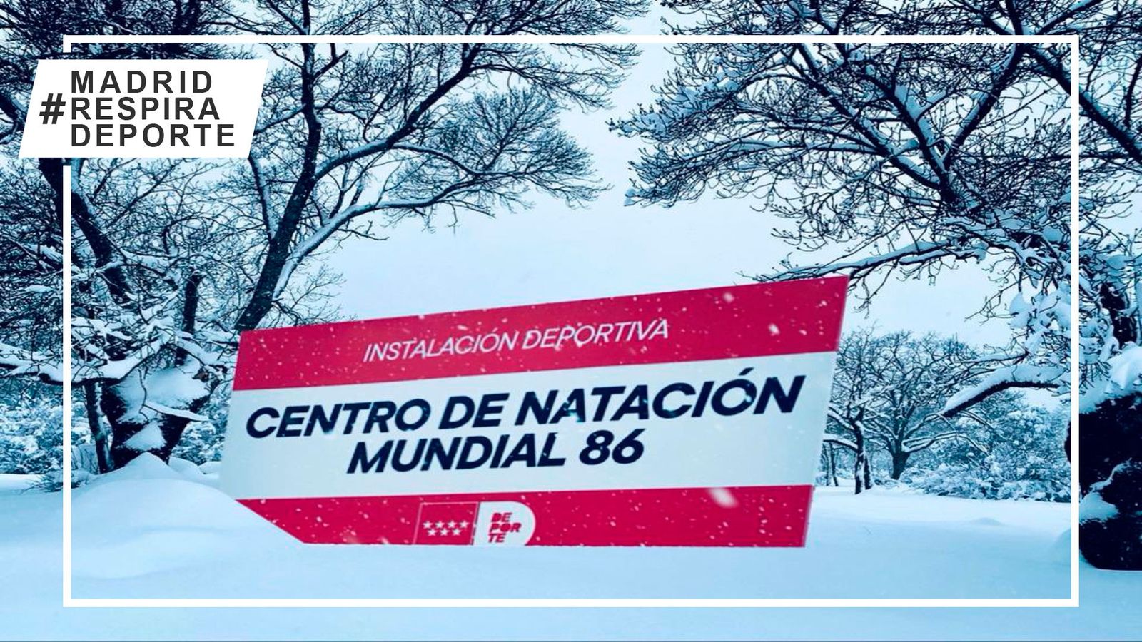 Centro de Natación Mundial 86