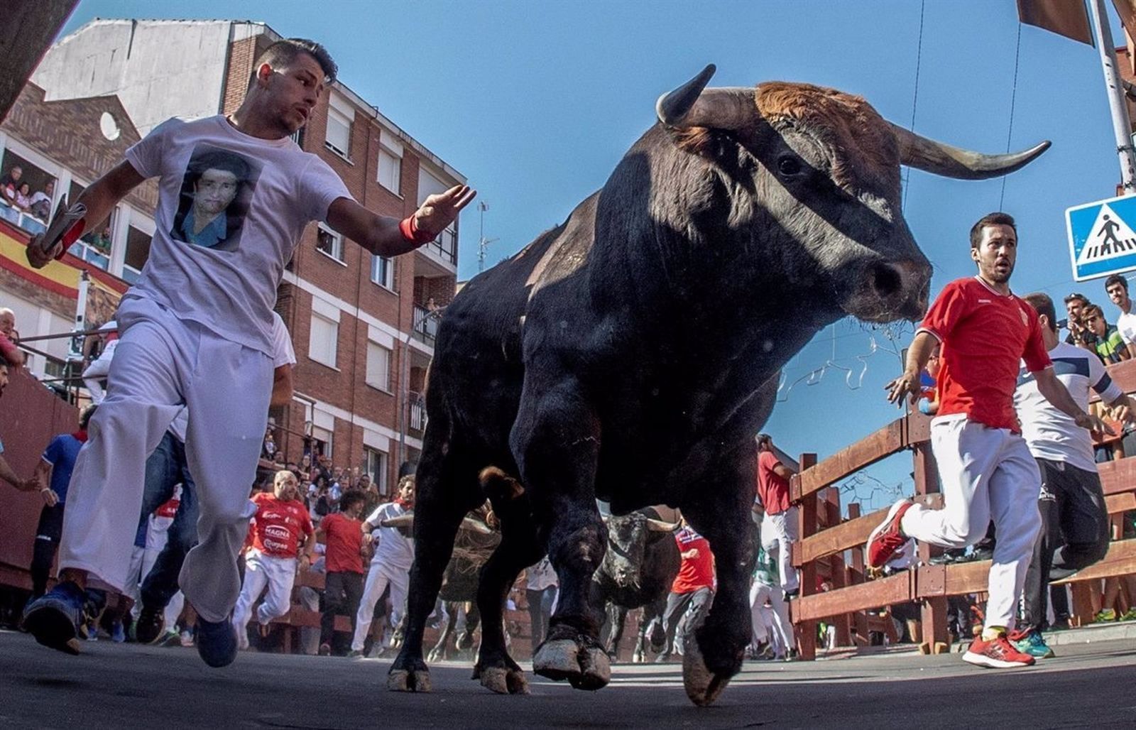Encierros San Sebastián de los Reyes