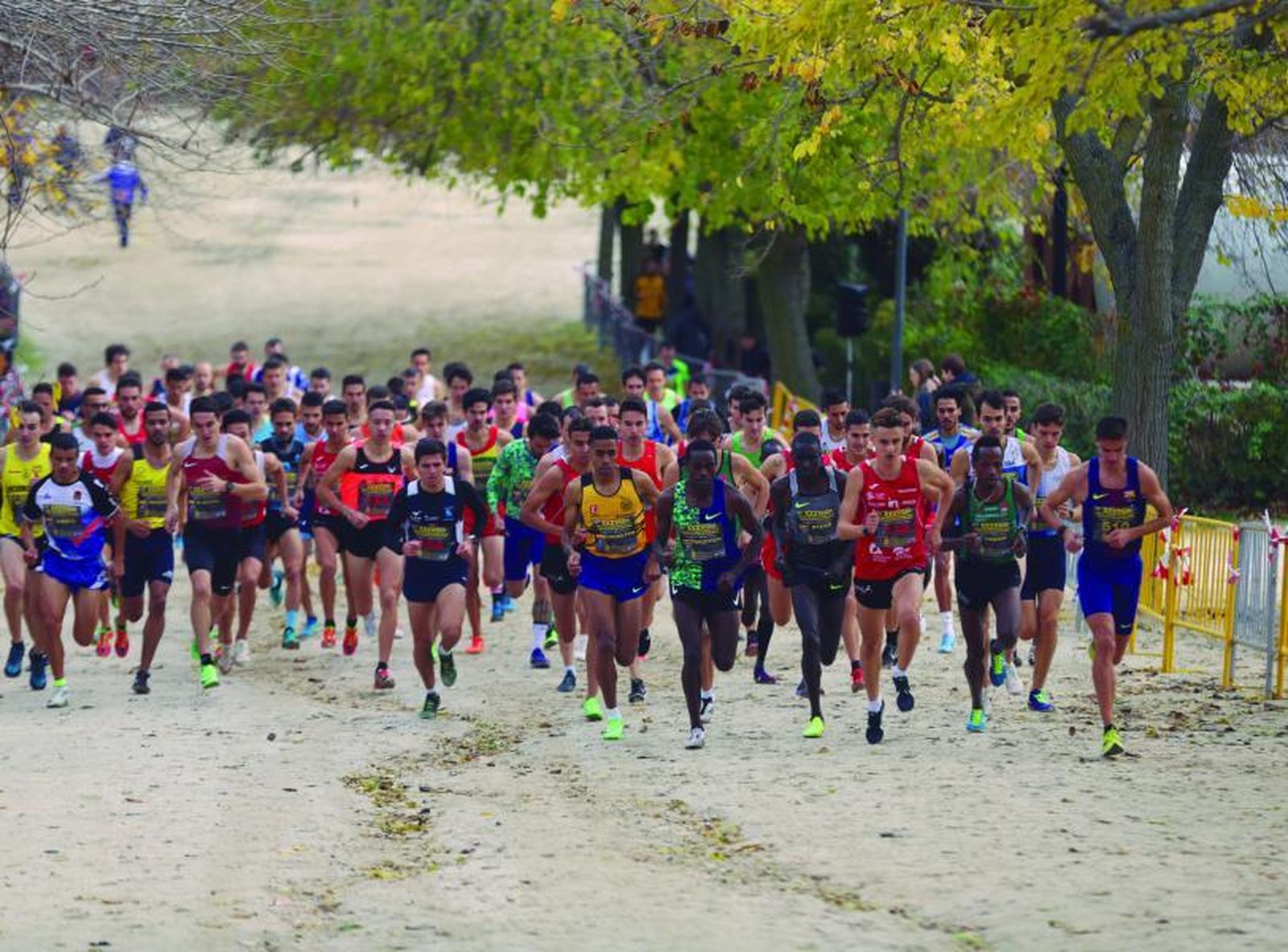 Cross de Alcobendas