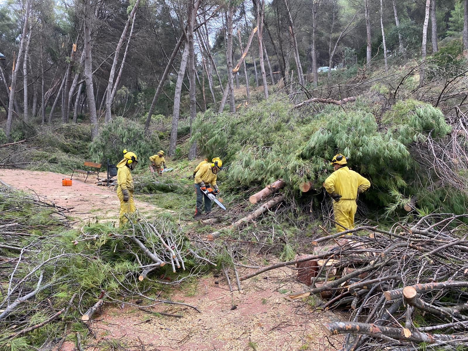 Operarios abren camino tras la caída de árboles