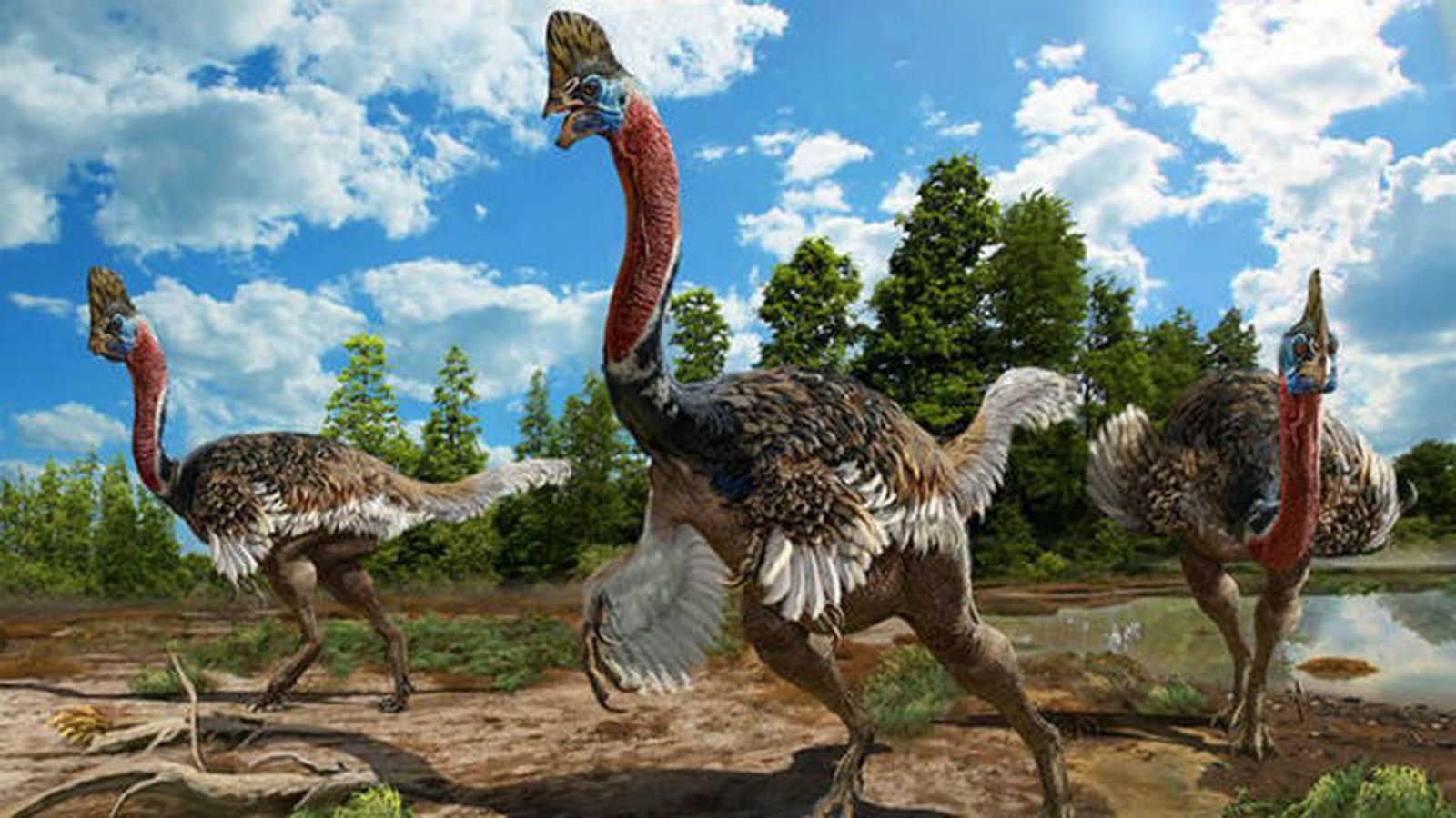 Hallada en China una nueva especie de dinosaurio de cuello largo y con cresta